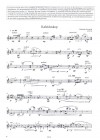 Augsburger Violinbuch, Band 3
