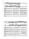 Concerto per flauto a becco e violino su temi Torelli