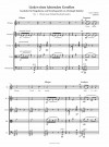 Lieder eines fahrenden Gesellen