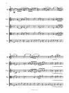 Quintetto capriccioso