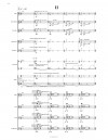 �Loops and Lines�