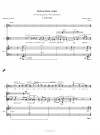 Sieben letzte Lieder