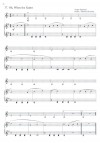 Leere Saiten voll Musik